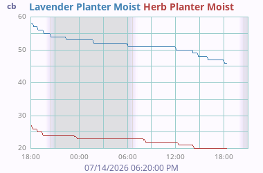 Soil Moisture 4