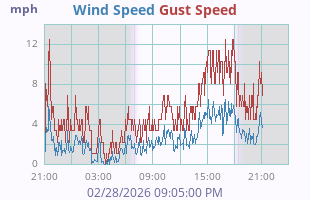 Wind Speed