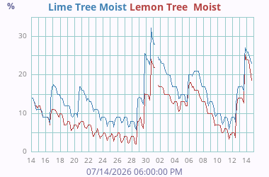 Soil Moisture 3
