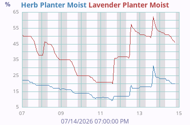 Soil Moisture 4