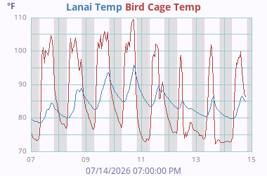 Misc Temperature 5
