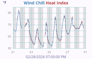 Wind Chill