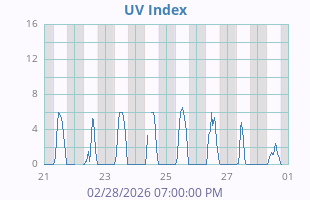 UV Index