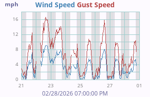 Wind Speed