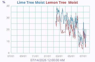 Soil Moisture 3