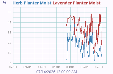 Soil Moisture 4