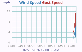 Wind Speed